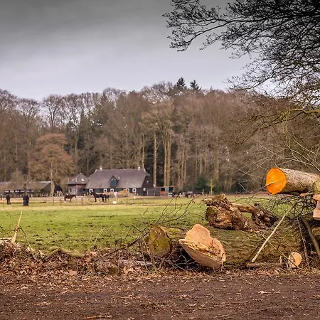 Vakantiehuis Ravennest Epe