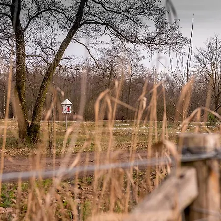 Vakantiehuis Ravennest