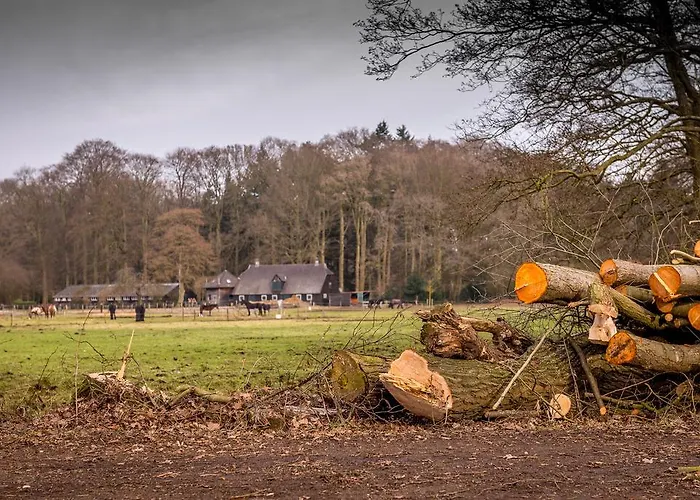 בית נופש Ravennest אפ