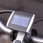 Ravennest