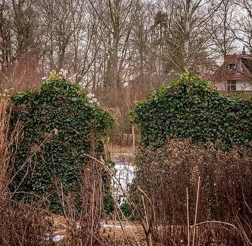 Ravennest بيت للعطل *