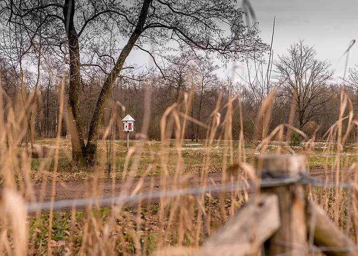 بيت للعطل Ravennest